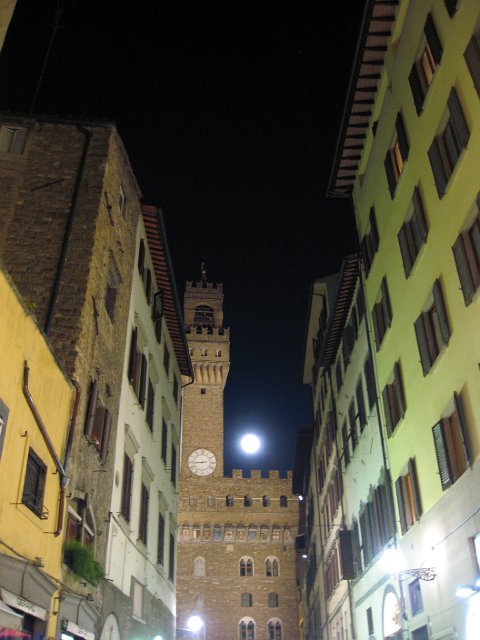 Palazzo Vecchio, Piazza della Signoria and Loggia dei Lanzi-22.JPG